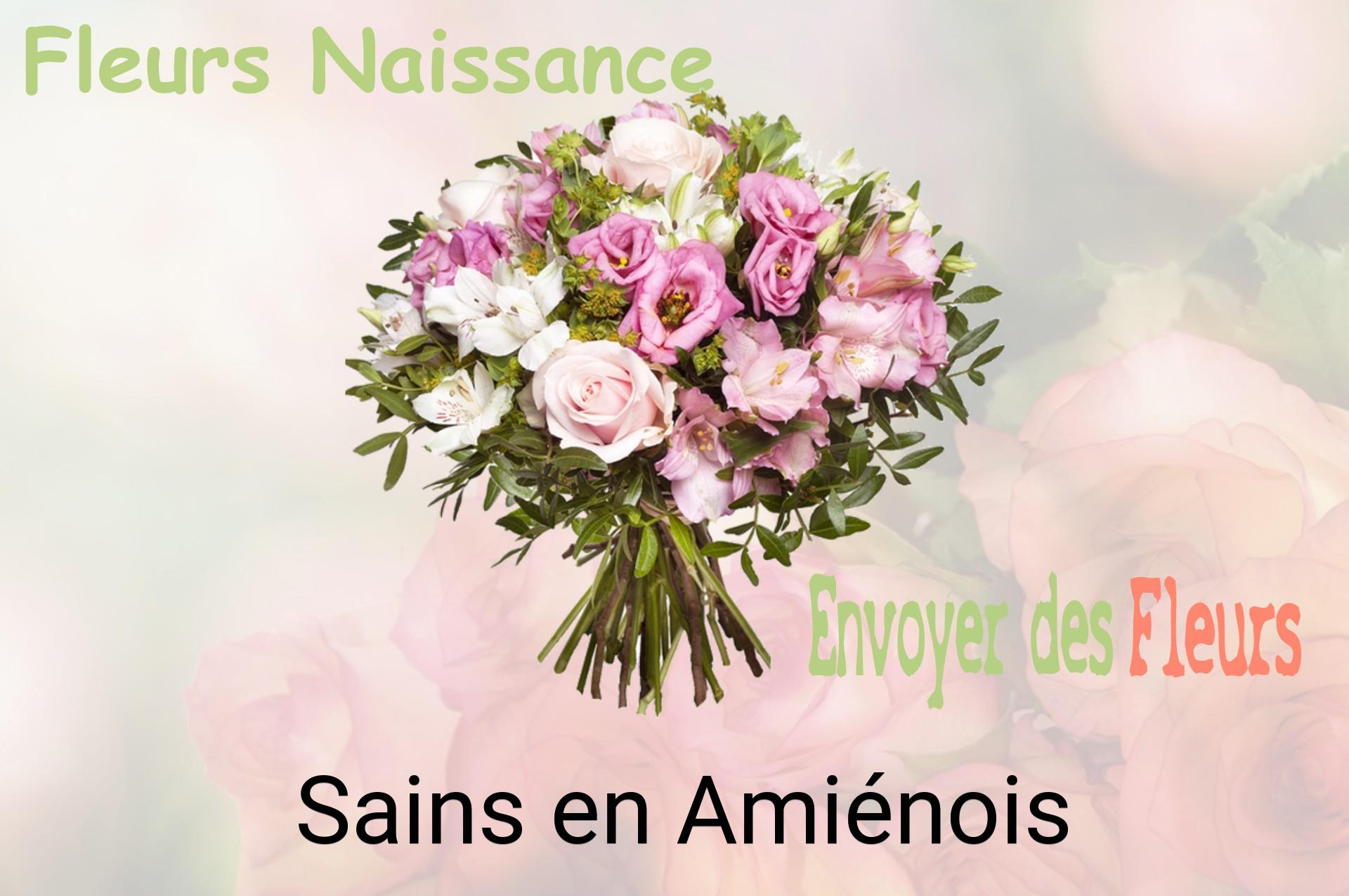 Bouquet de fleurs de naissance livré à Sains-en-Amiénois